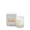 Bamford Candied Orange Single Wick Candle -Winter Decor Store 17011530 bamford candied orange single wick candle 1