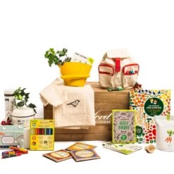 Countryside Craft Children's Hamper