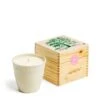 Limited Edition Rose Botanic Candle 1 Limited Edition Rose Botanic Candle -Winter Decor Store 19079580 limited edition rose botanic candle 1