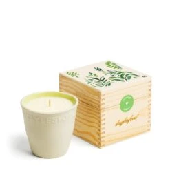 Limited Edition Bergamot Botanic Candle