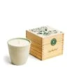 Limited Edition Fig Leaf Botanic Candle -Winter Decor Store 19079630 limited edition fig leaf botanic candle 1