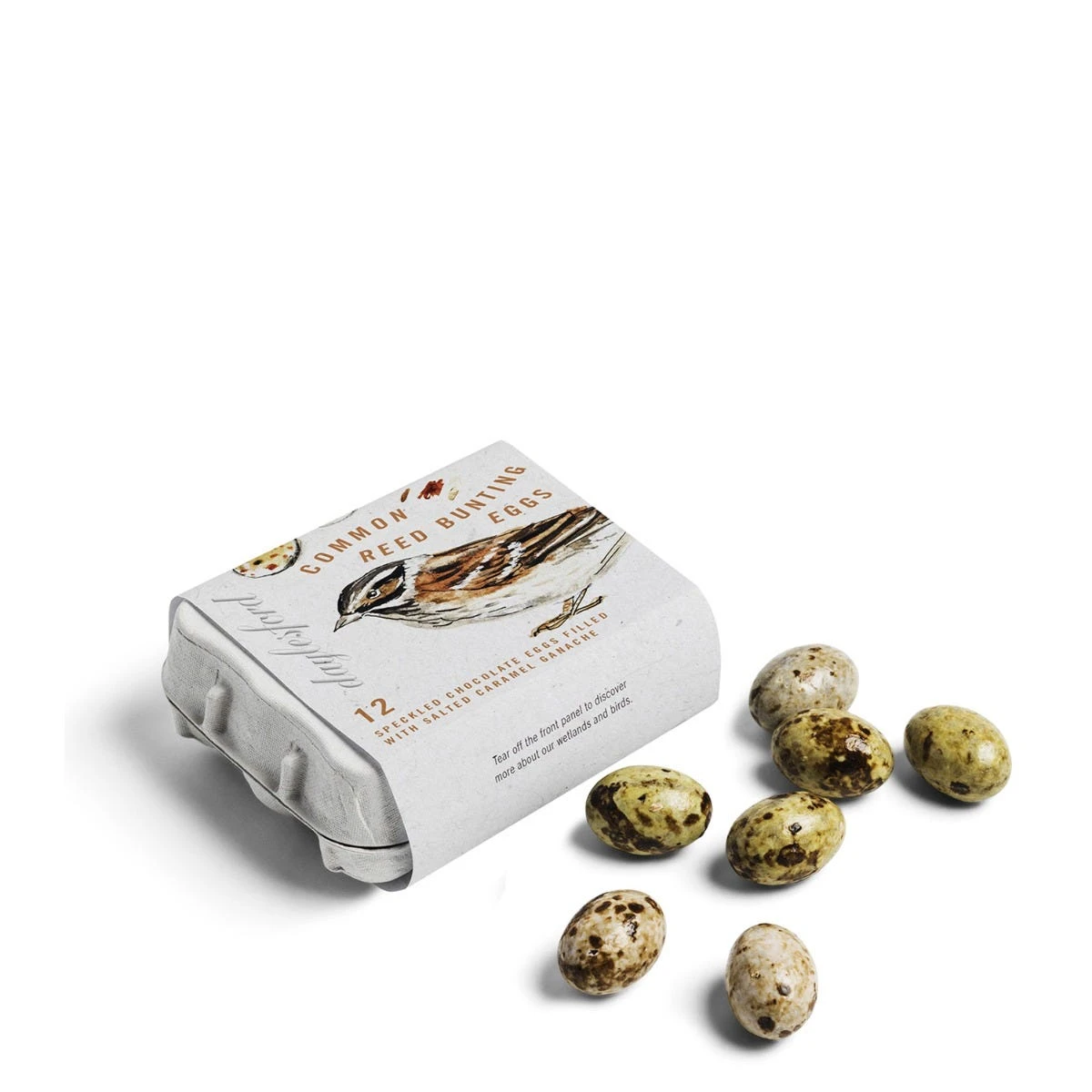 Chocolate Common Reed Bunting Bird Eggs 2 Chocolate Common Reed Bunting Bird Eggs