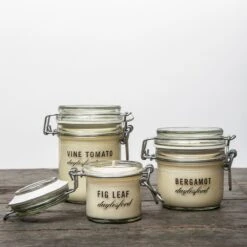 Botanical Vine Tomato Candle -Winter Decor Store botanical candles 2